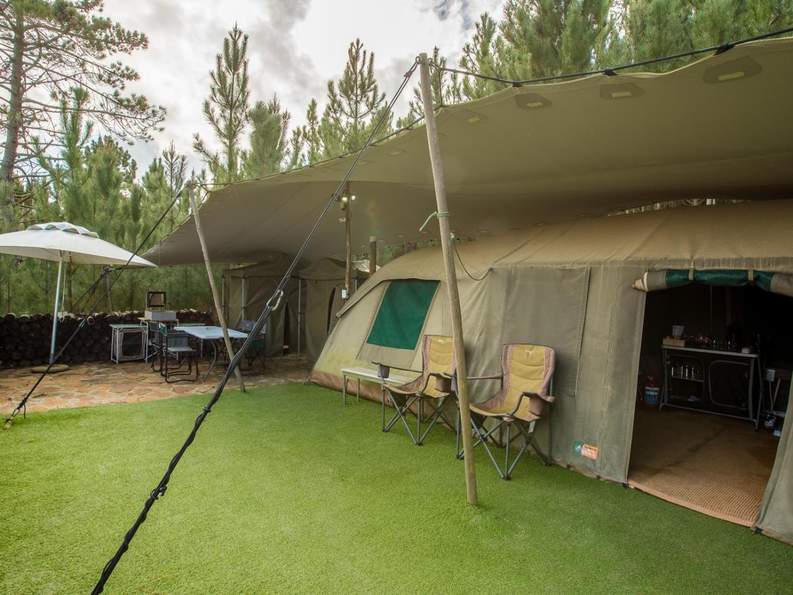 Old Mac Daddy Villa Botrivier Room photo